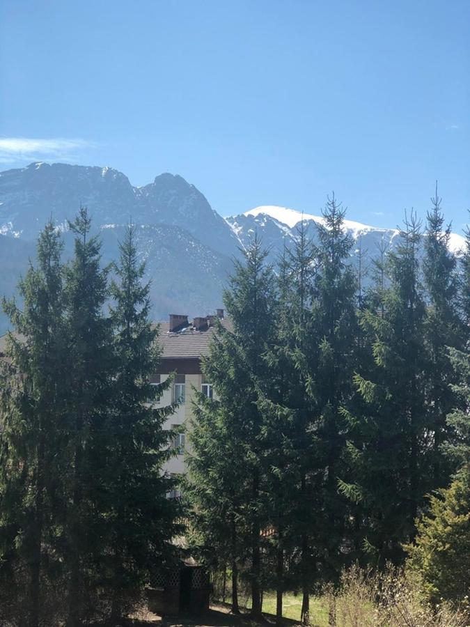 Vektron Lejlighed Zakopane Eksteriør billede